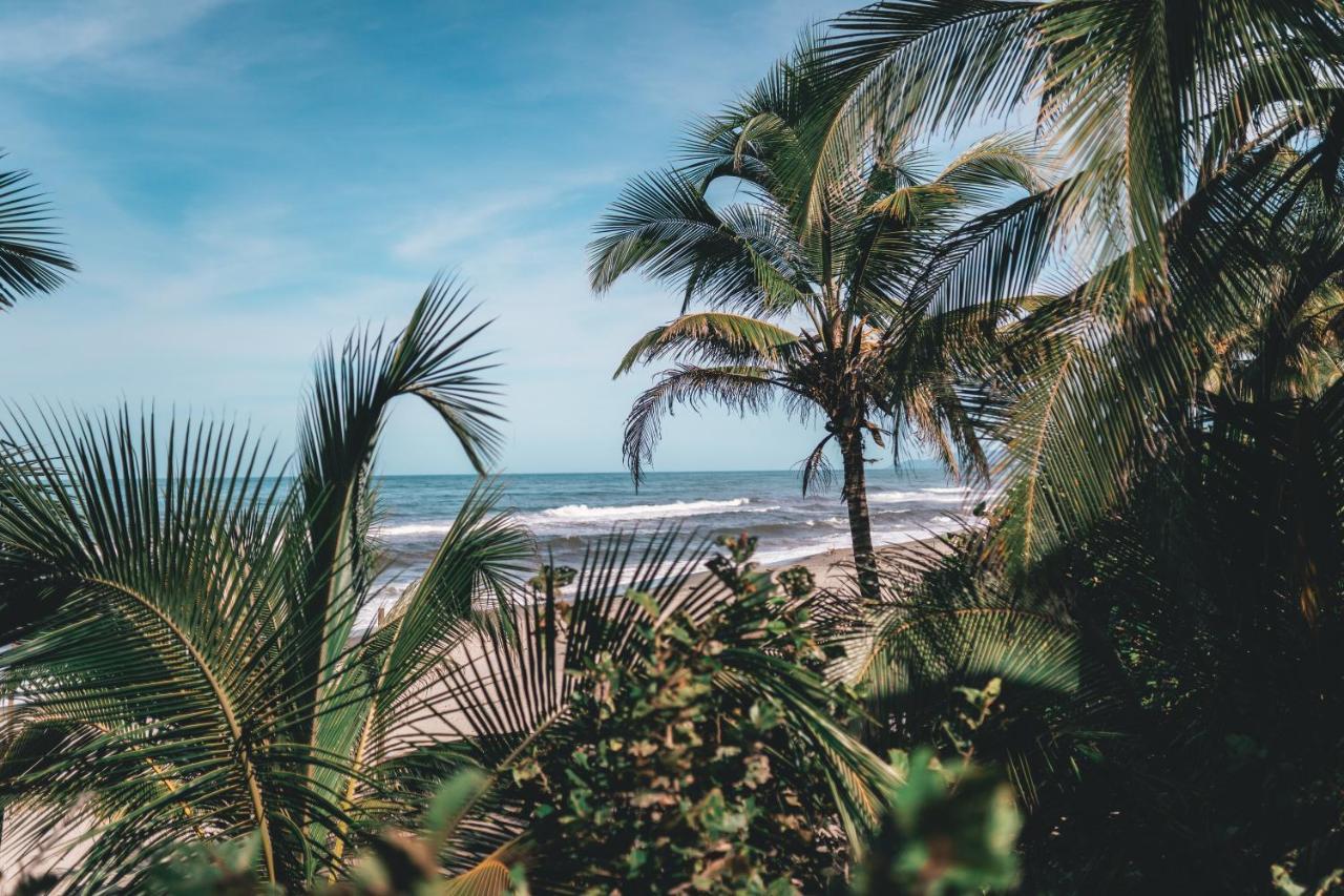Los Hermanos Beach Hostal Guachaca エクステリア 写真